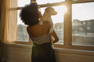 Dog resting by a window in a rented apartment